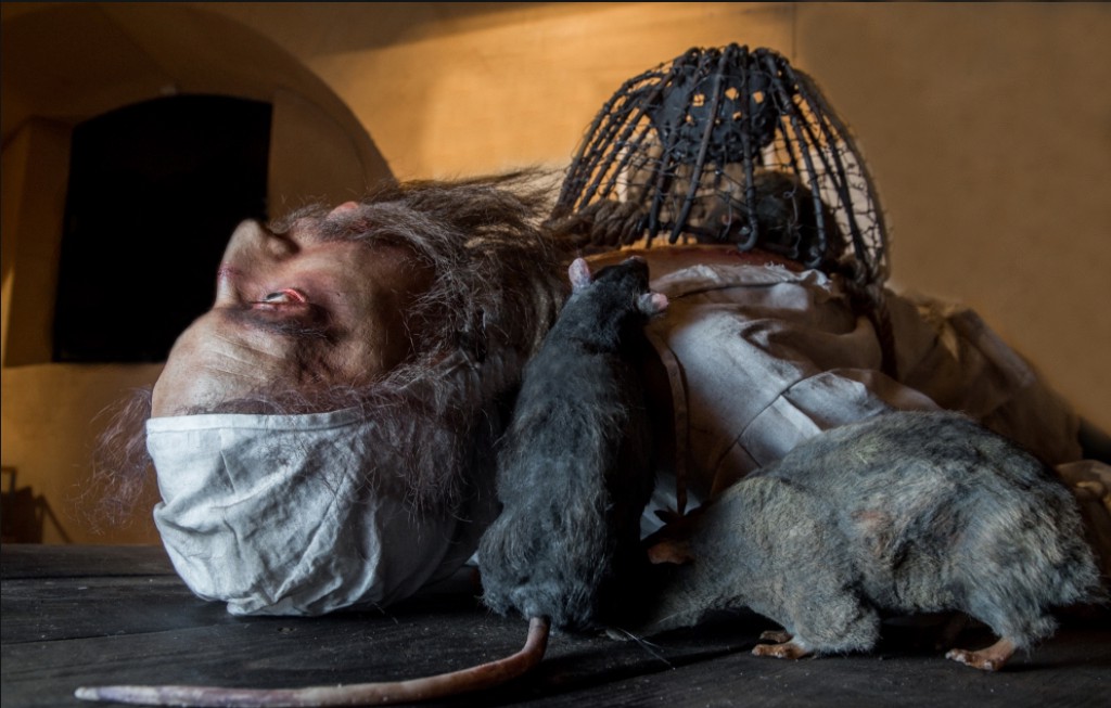 rat-eating-dead body