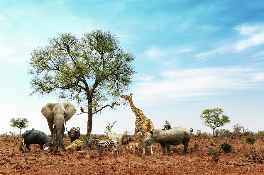#animals zoo open in marcha