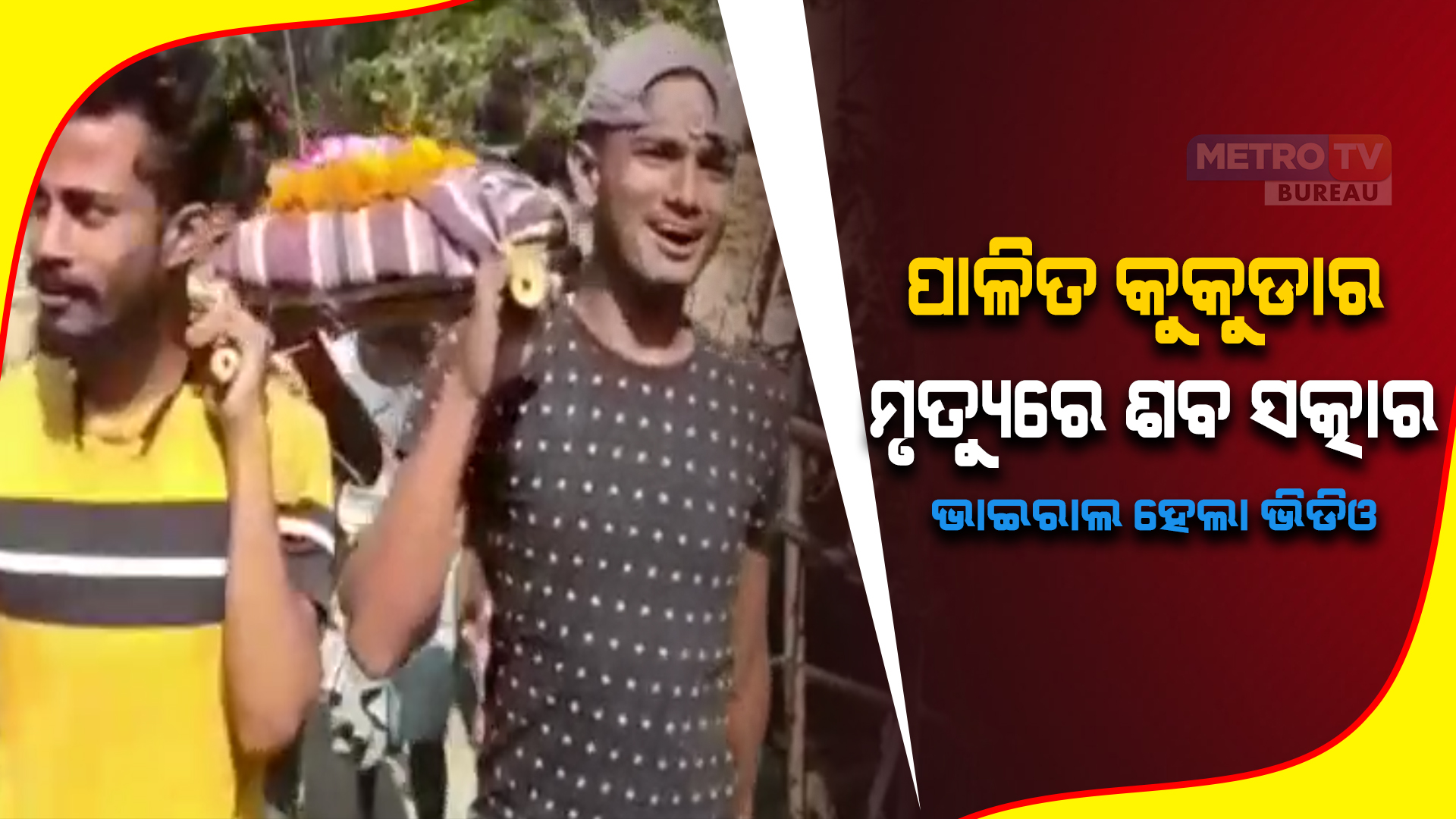ପାଳିତ କୁକୁଡାର ମୃତ୍ୟୁରେ ଶବ ସତ୍କାର : ଭାଇରାଲ ହେଲା ଭିଡିଓ